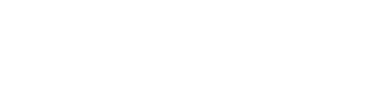 Huawei Student Developers logosu